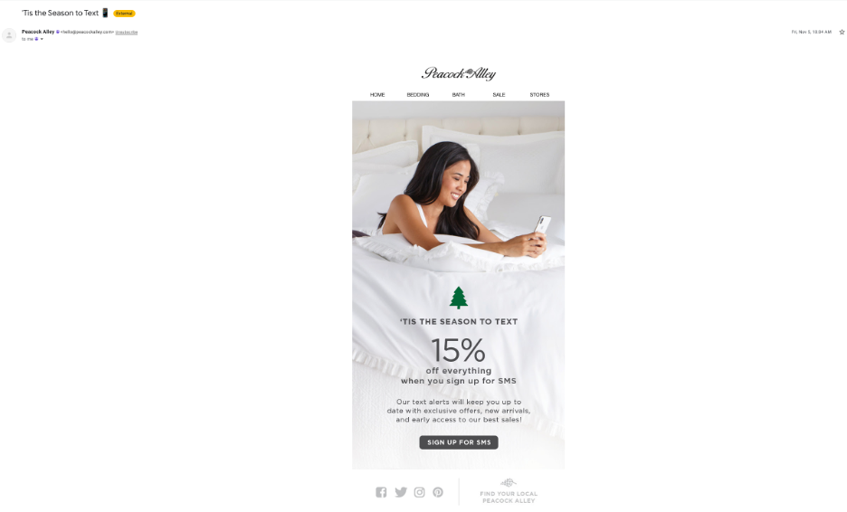 Email saying "'Tis the Season to Text" with the image of a woman texting while laying on crisp white bedding